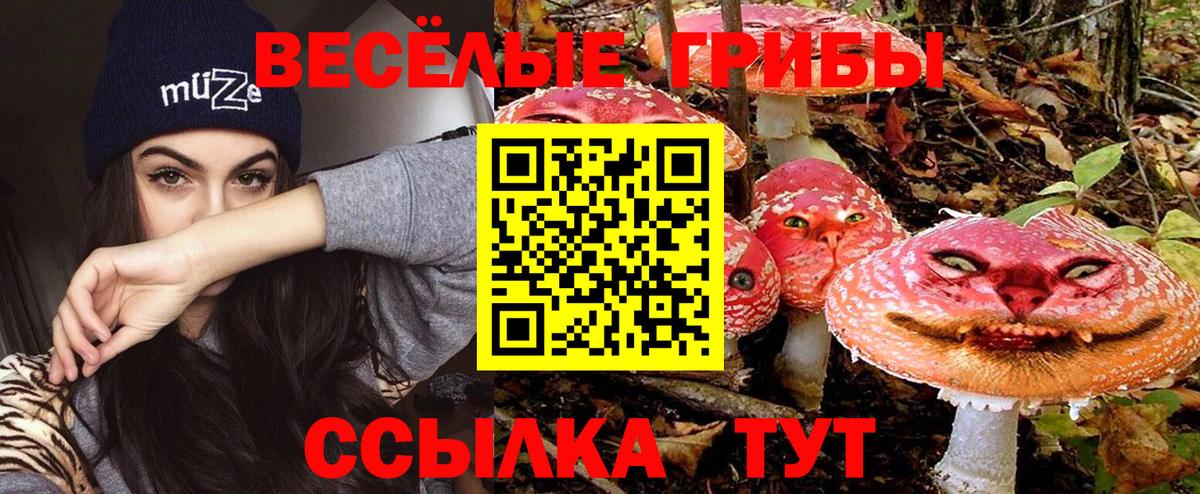 Унеча  Галлюциногенные грибы прущие грибы  Вход с VPN  Галлюциногенные грибы ЛСД 